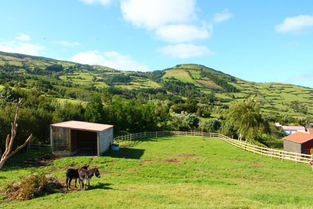 Casas da Arramada